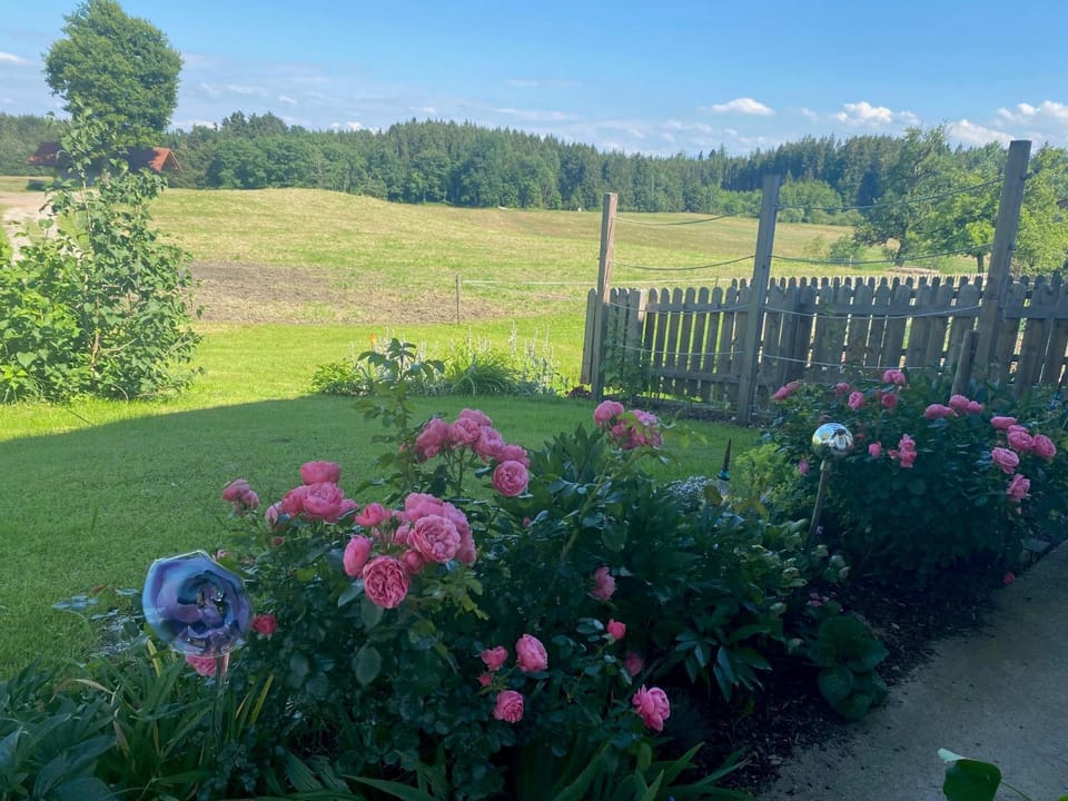 Kalbhof Farm Stay in Salzburgerland