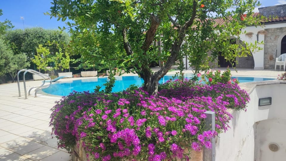 L'Agrumeto Villa & Pool - Puglia Mia Apartments Villa in Apulia