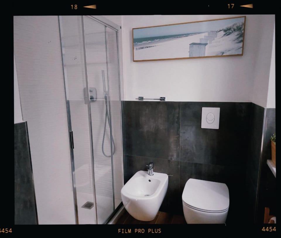 Shower, Toilet, Bathroom, bidet