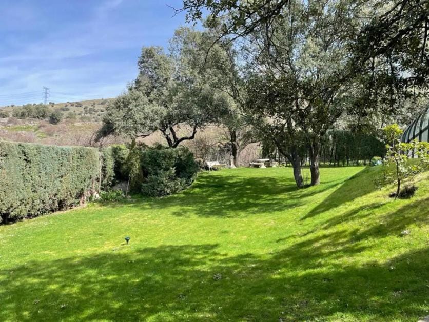 Natural landscape, Garden, Garden view