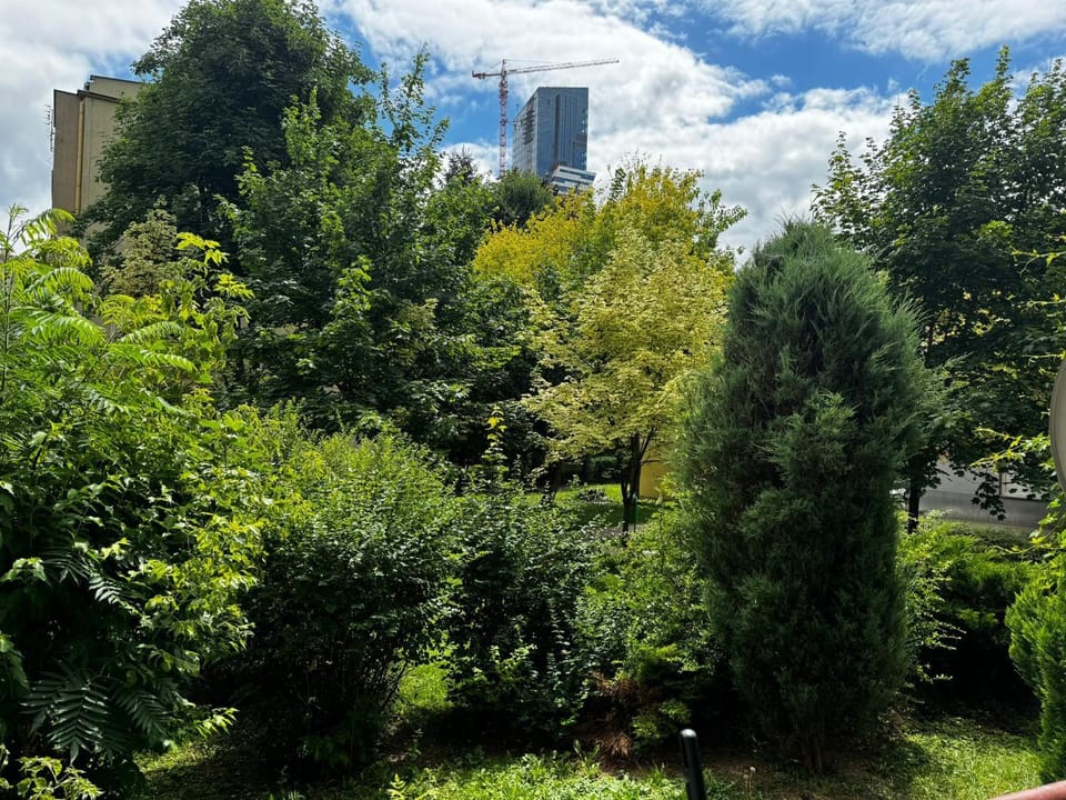 Spring, Day, Natural landscape, Garden, Garden view
