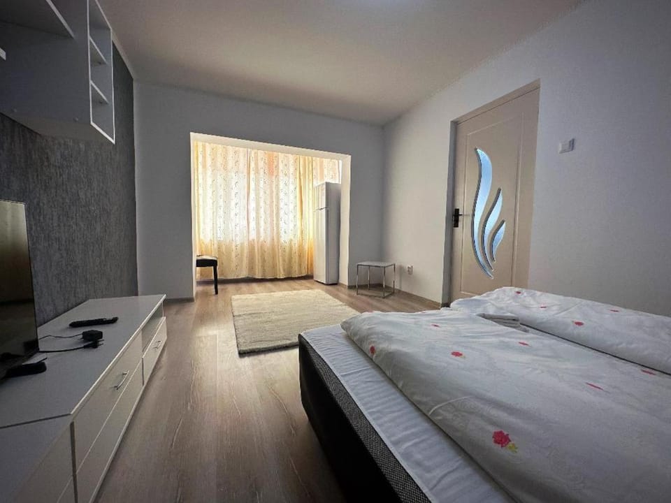 Apartament Dya HATEG 9 Apartment in Romania