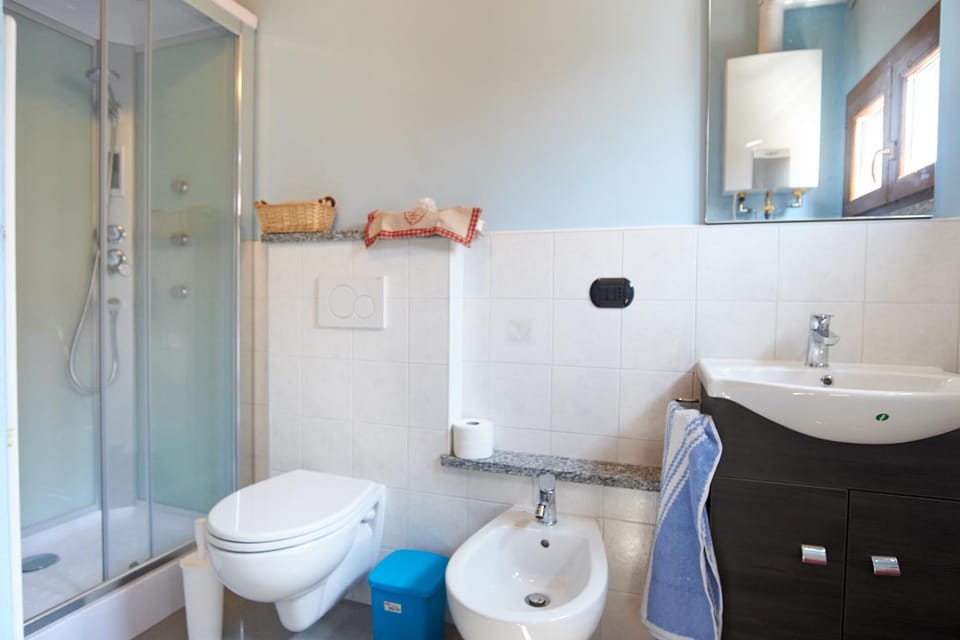 Shower, Toilet, Bathroom, bidet