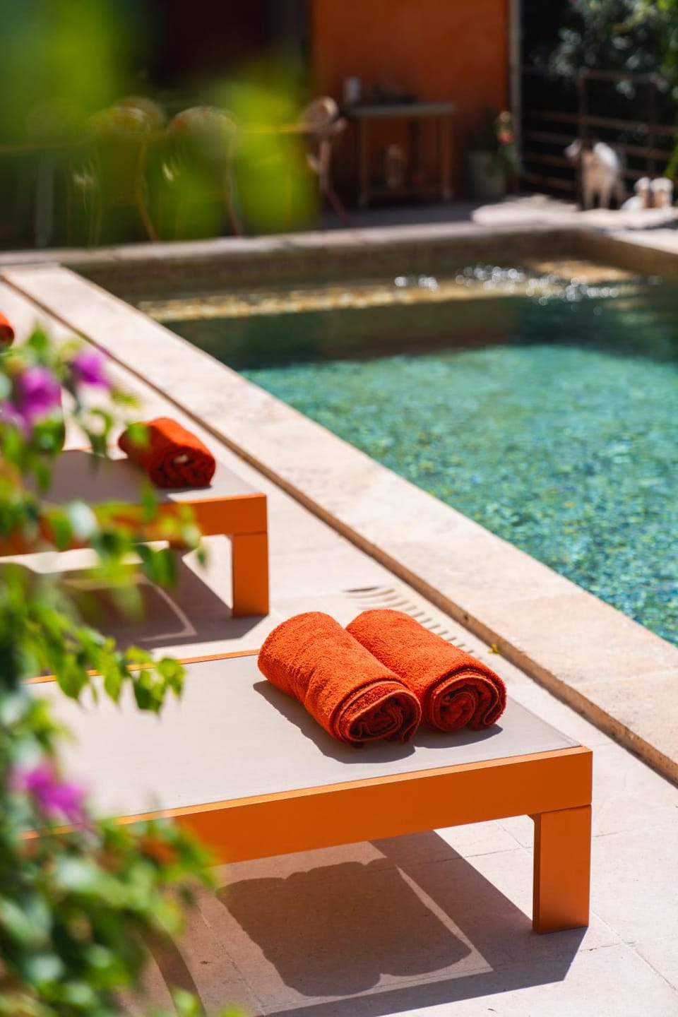 Swimming pool, Swimming pool