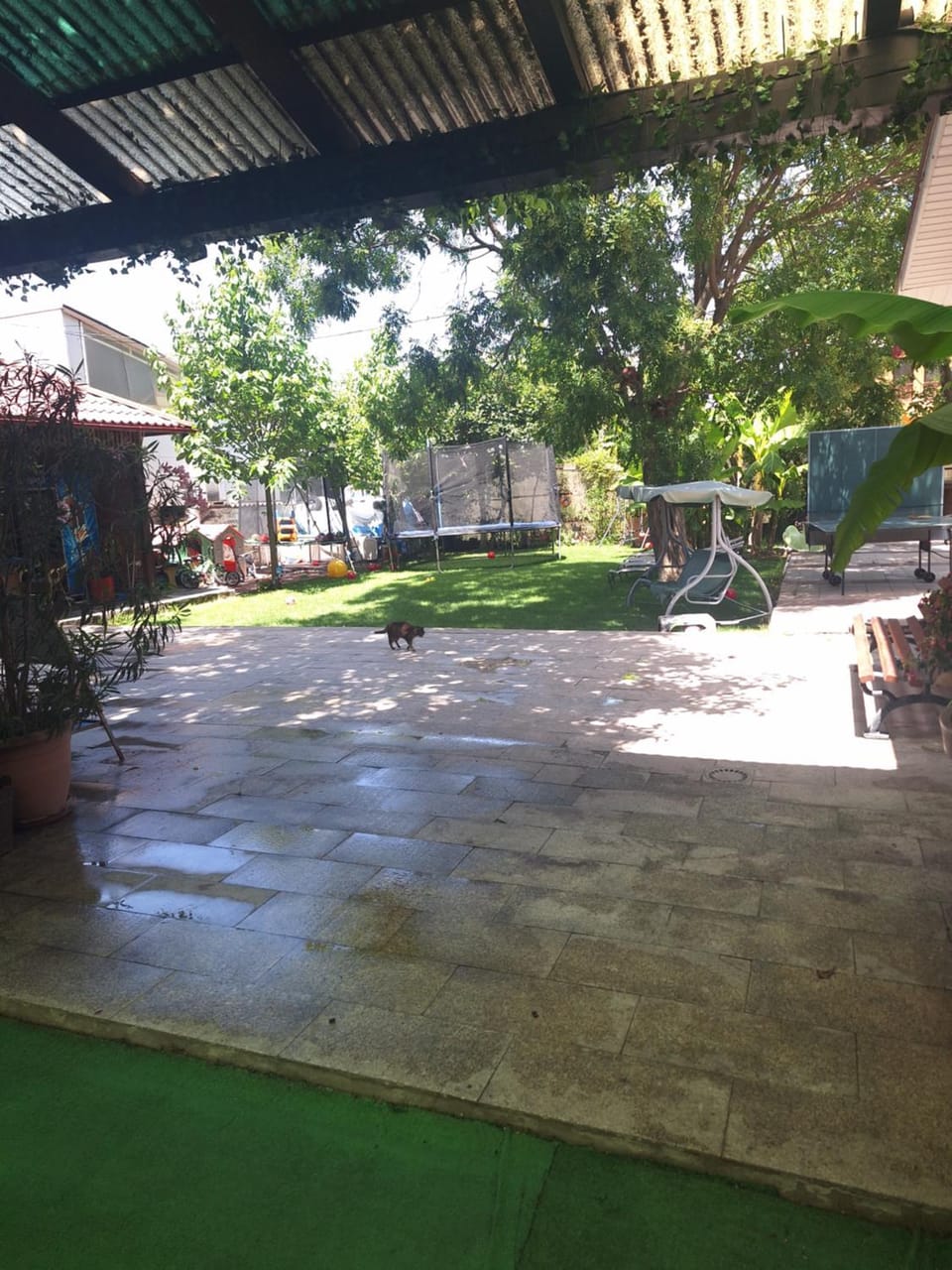 Casa inflorita garsoniere etaj Bed and Breakfast in Eforie Nord