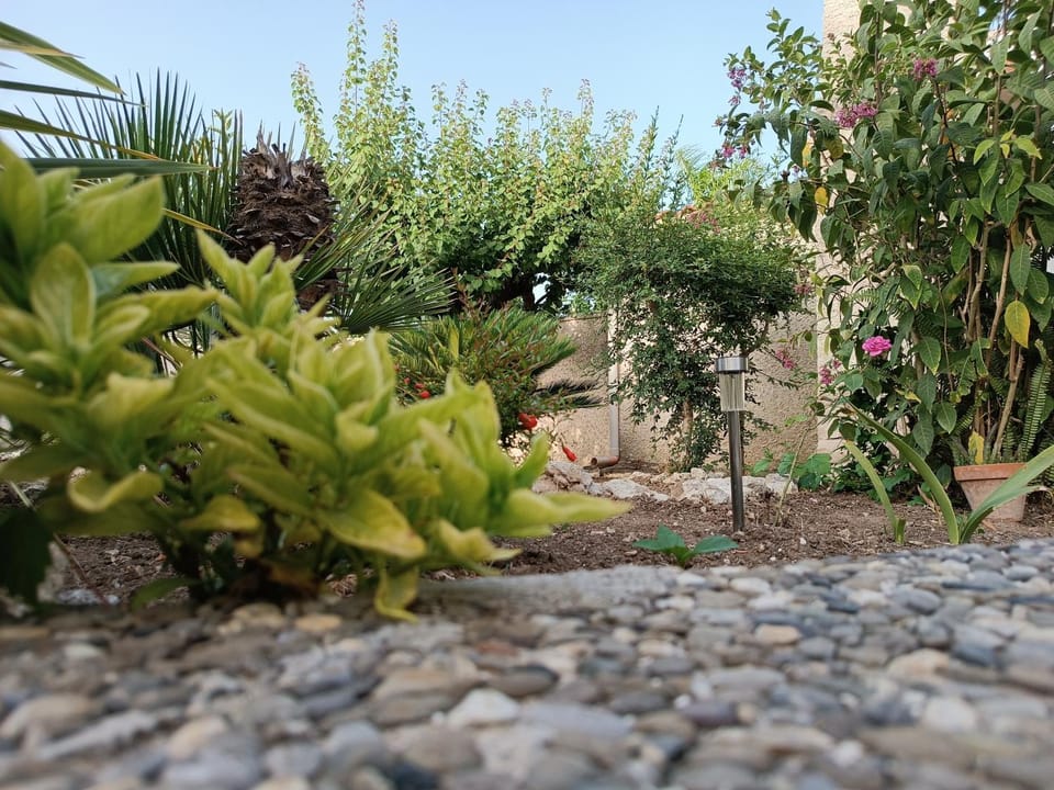 Garden, Garden view
