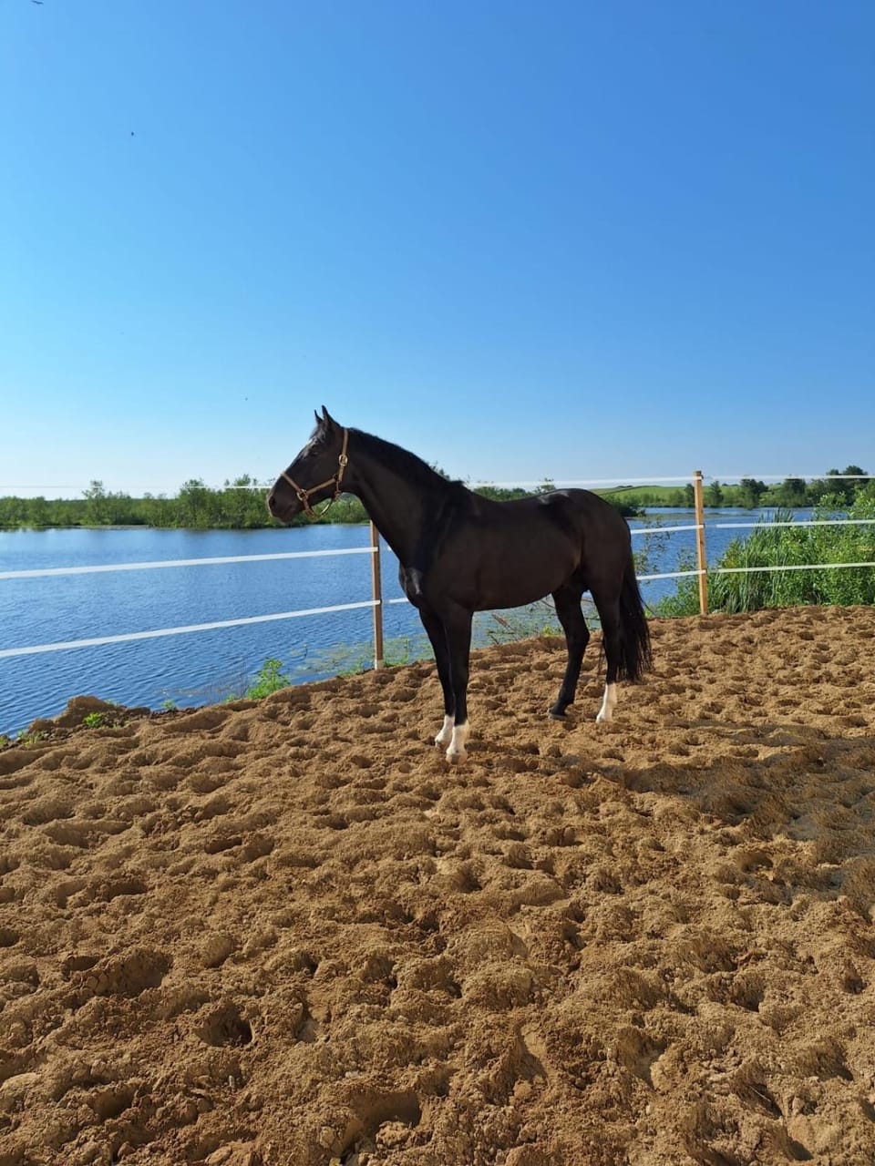 Stajnia Czahary 2 Farm Stay in West Pomeranian Voivodeship, Poland