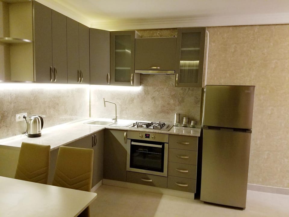 Kitchen or kitchenette, minibar, oven, stove