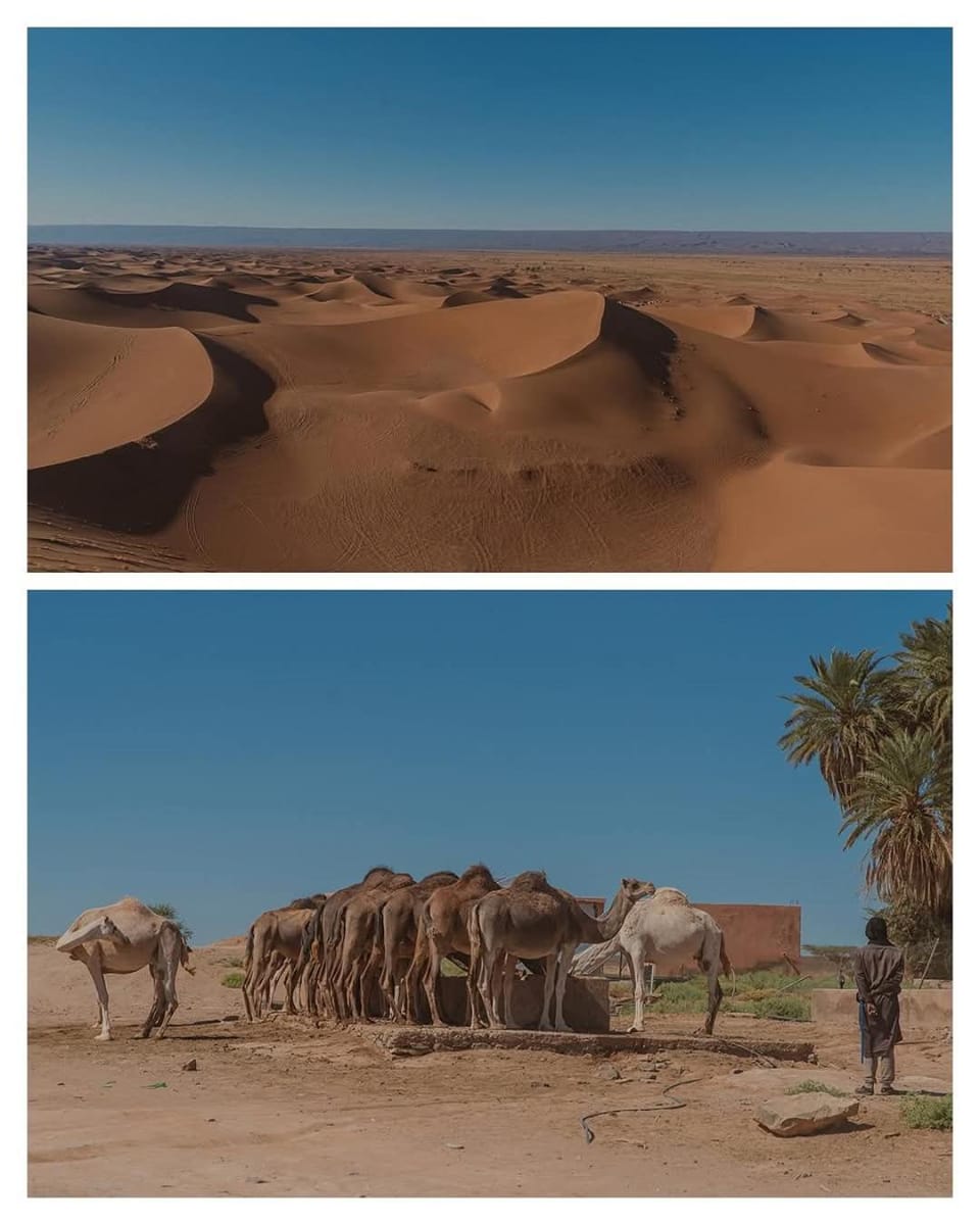 Silent Camp Campground/ 
RV Resort in Morocco