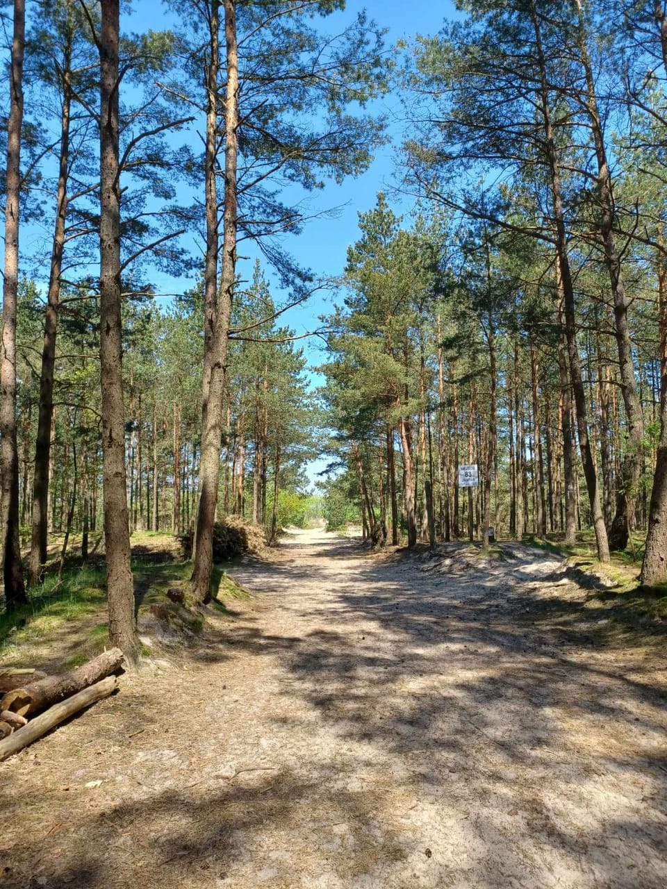 Jantar Up Apartment in Pomeranian Voivodeship