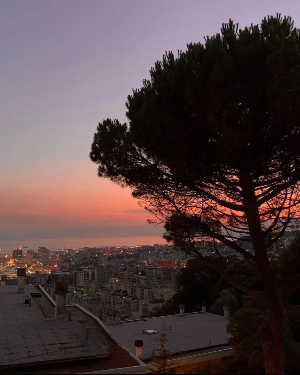 City view, Sunset