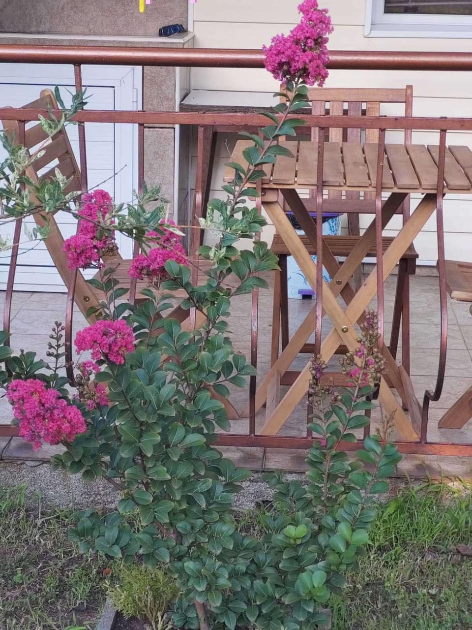 Къща за Гости "Прохлада" Bed and Breakfast in Burgas Province
