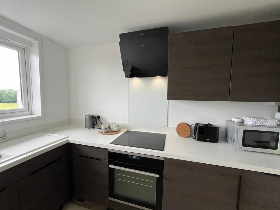 Kitchen or kitchenette, dishwasher, stove, toaster