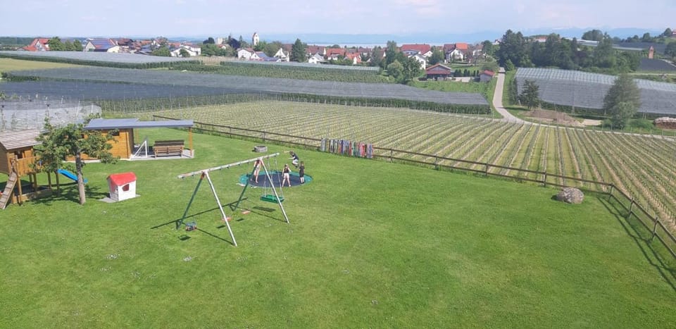 Children play ground