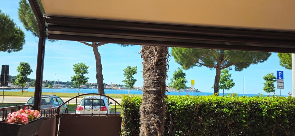 Natural landscape, Garden view, Sea view