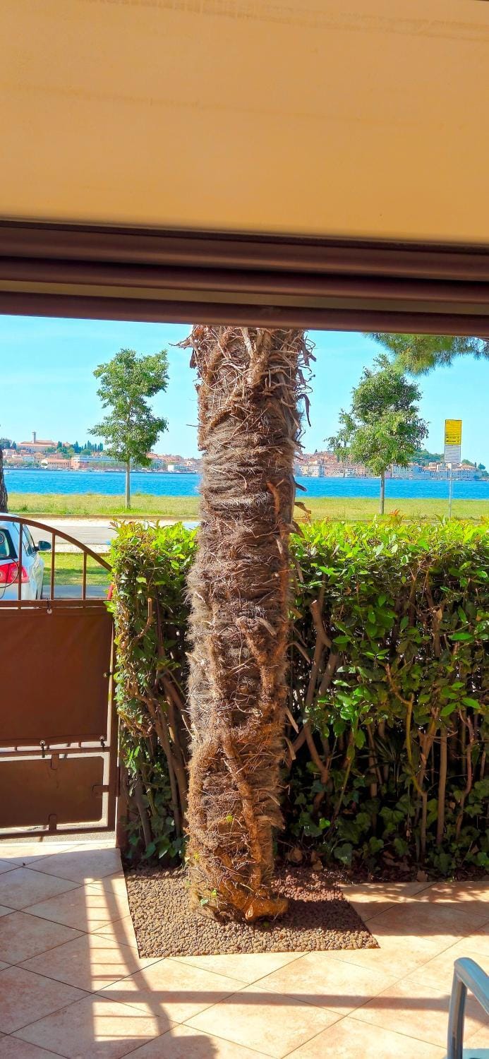 Natural landscape, Garden, Balcony/Terrace, Garden view, Sea view