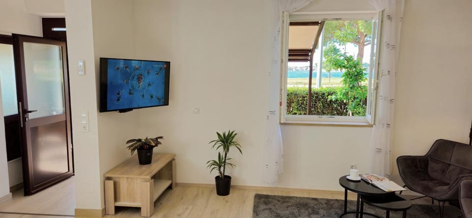 Communal lounge/ TV room, TV and multimedia, Living room, Seating area, Evening entertainment, Garden view