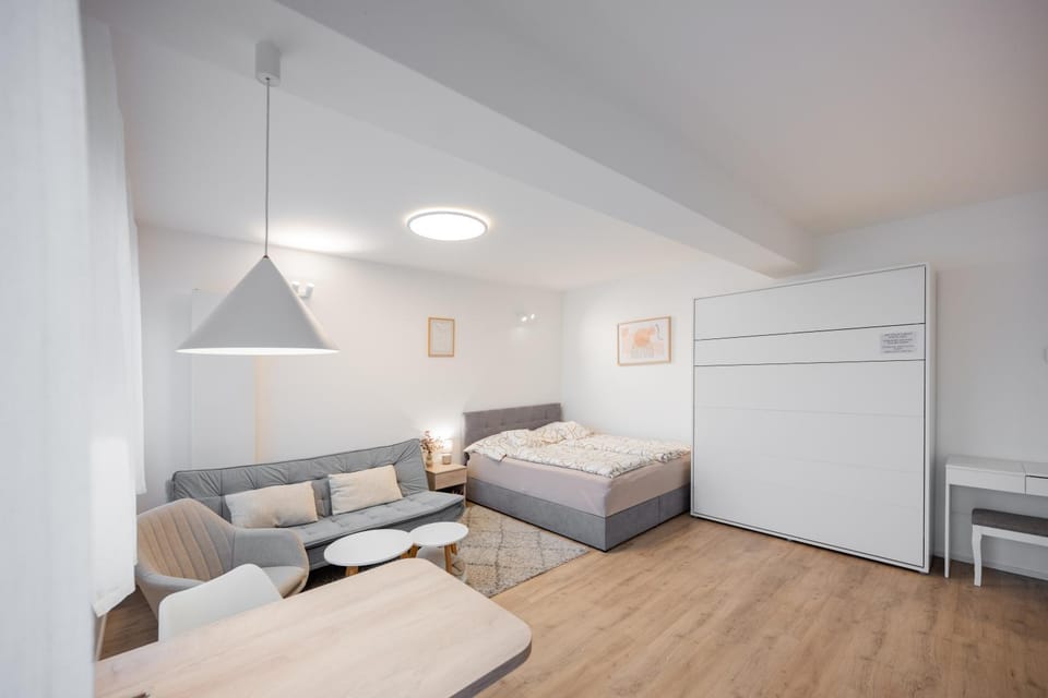 Bed, Living room, Photo of the whole room, Seating area, Bedroom