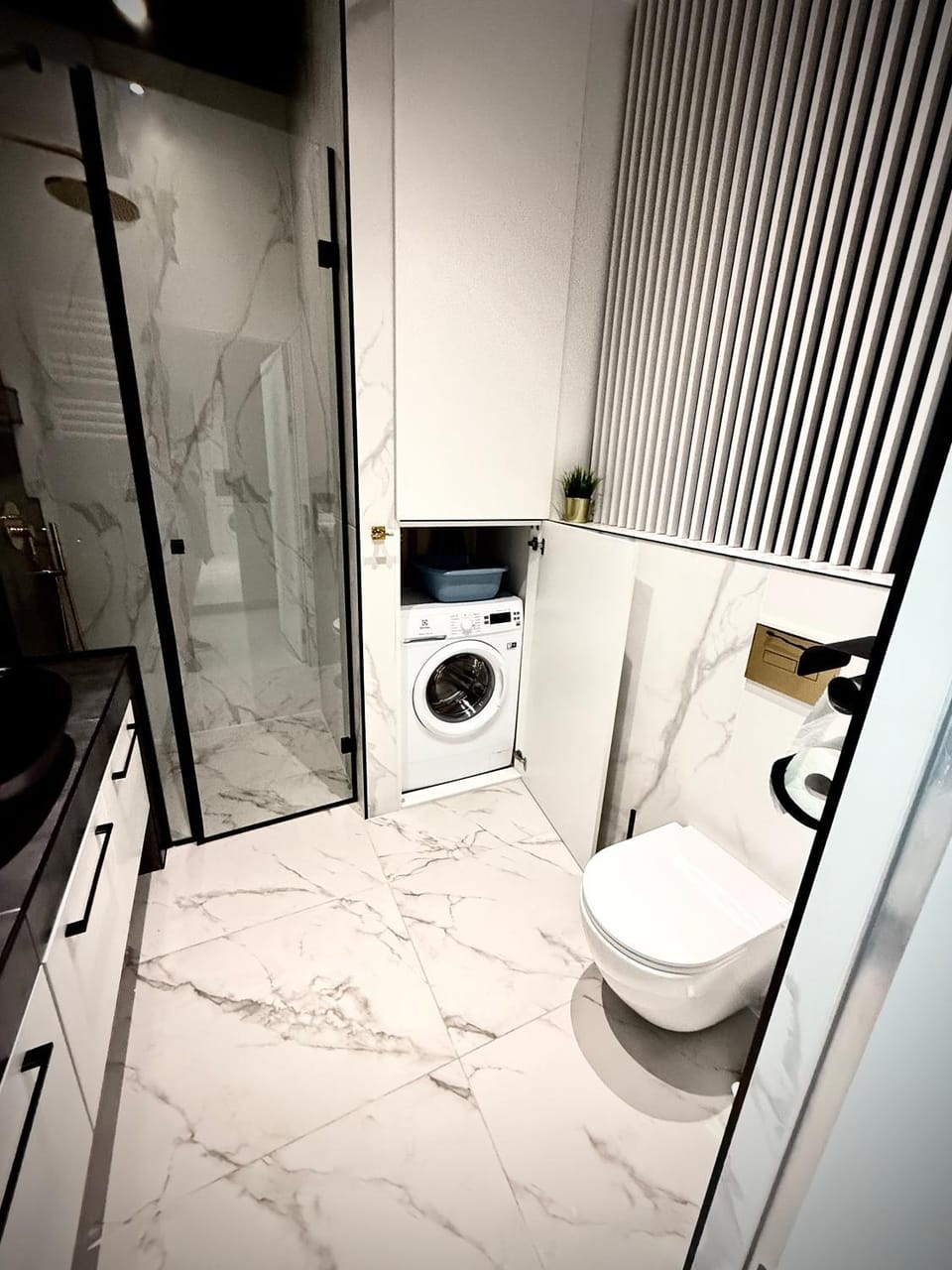 Toilet, Bathroom, washing machine