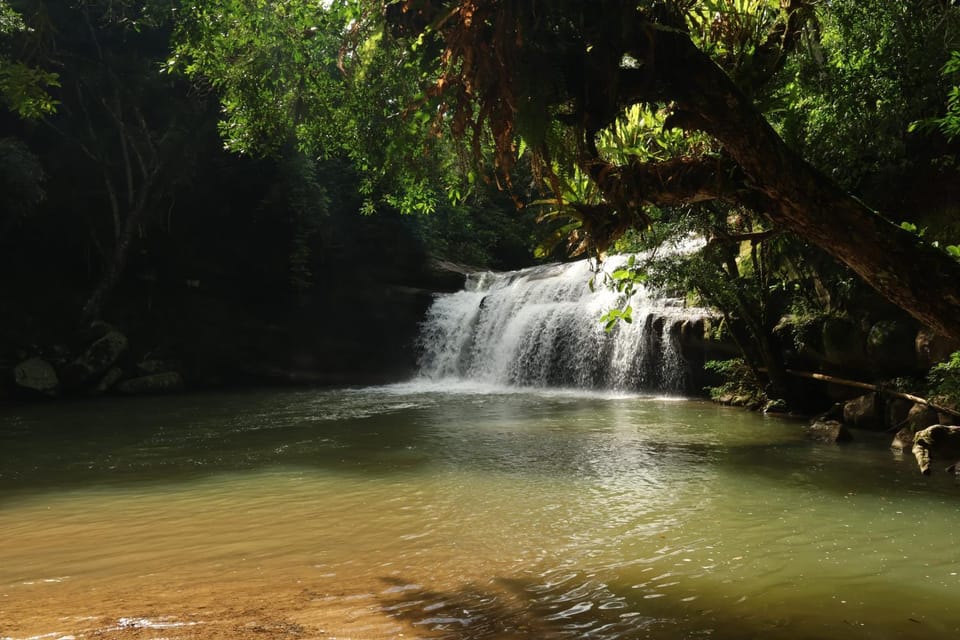 Alojamiento rural Ecoparque La Motilona Paicol, Huila - Cabaña Yanay Luxury tent in Huila, Colombia