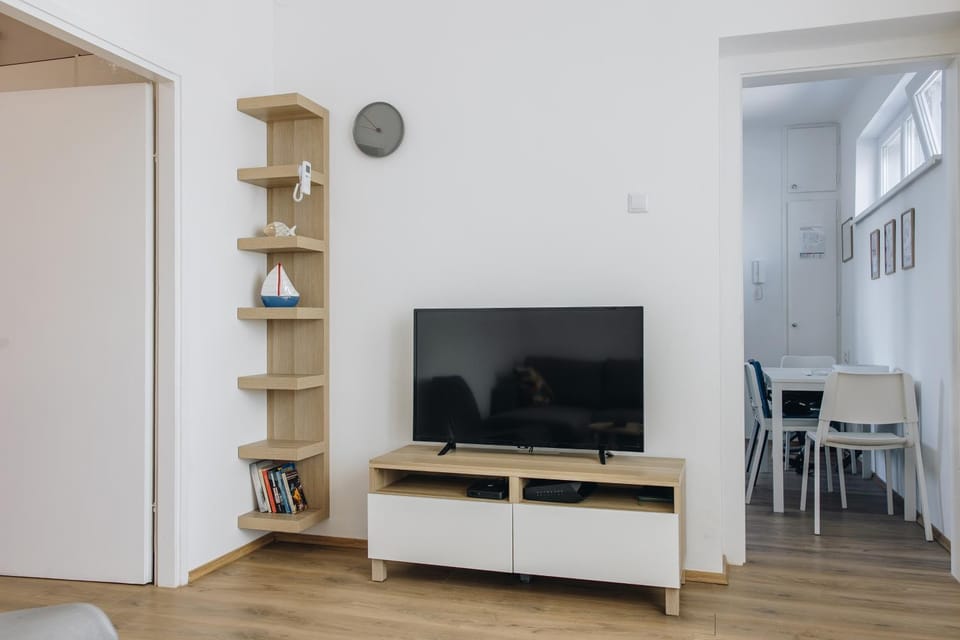 TV and multimedia