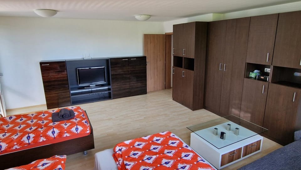 Apartmán ve vile Soňa pláž u Vrbiček Apartment in Czechia