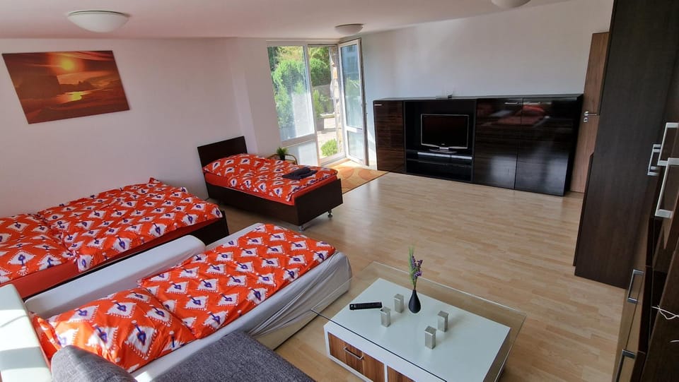 Apartmán ve vile Soňa pláž u Vrbiček Apartment in Czechia
