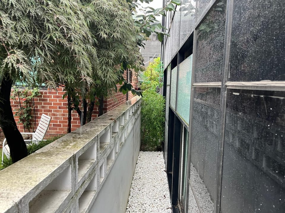 Garden, Garden view