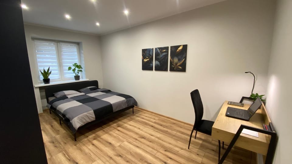 Apartament centrum Apartment in Czechia