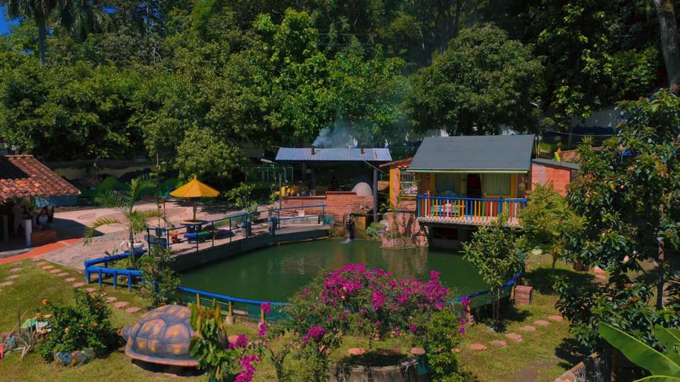 Lake view