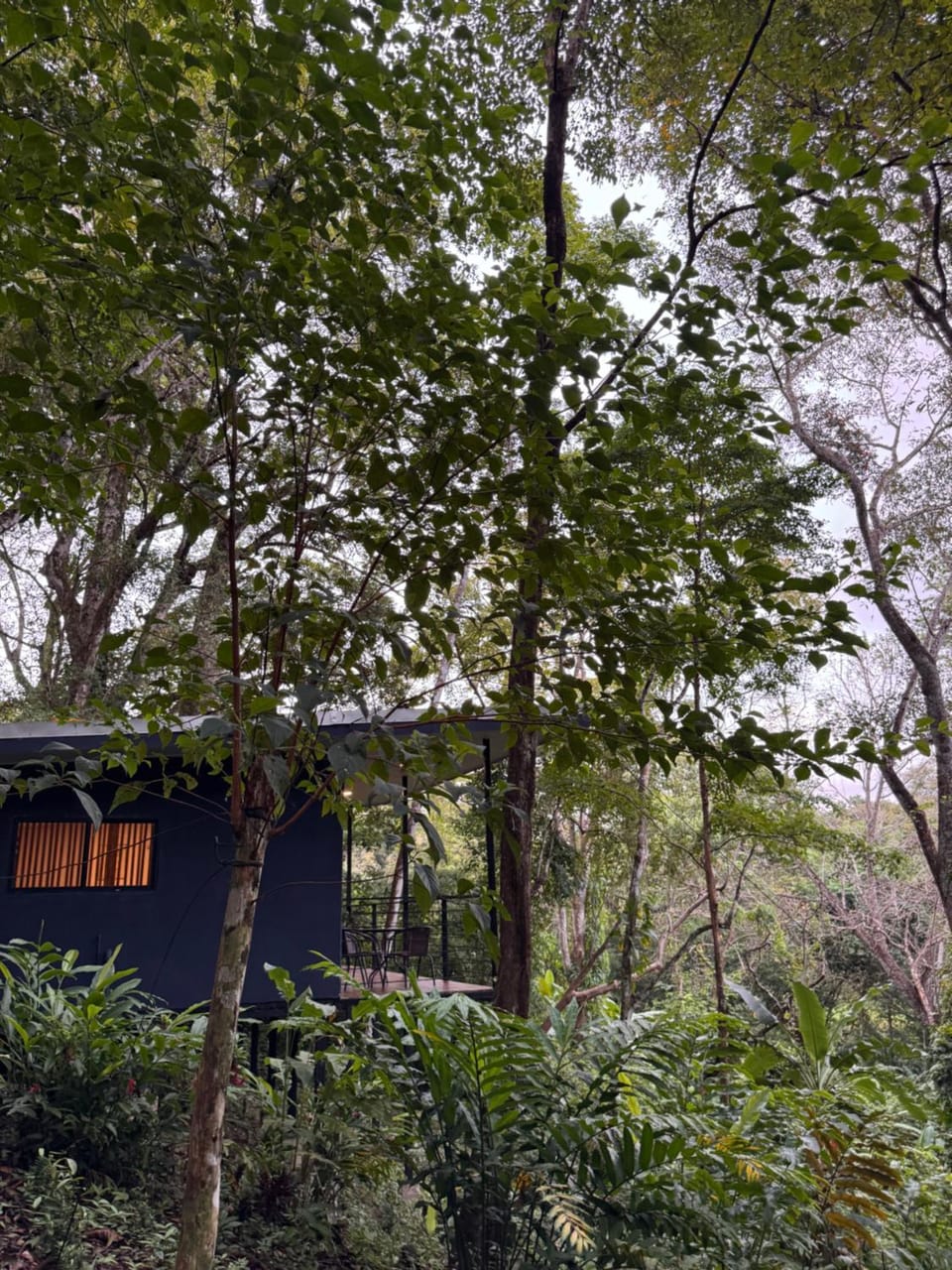Natural landscape, Garden view