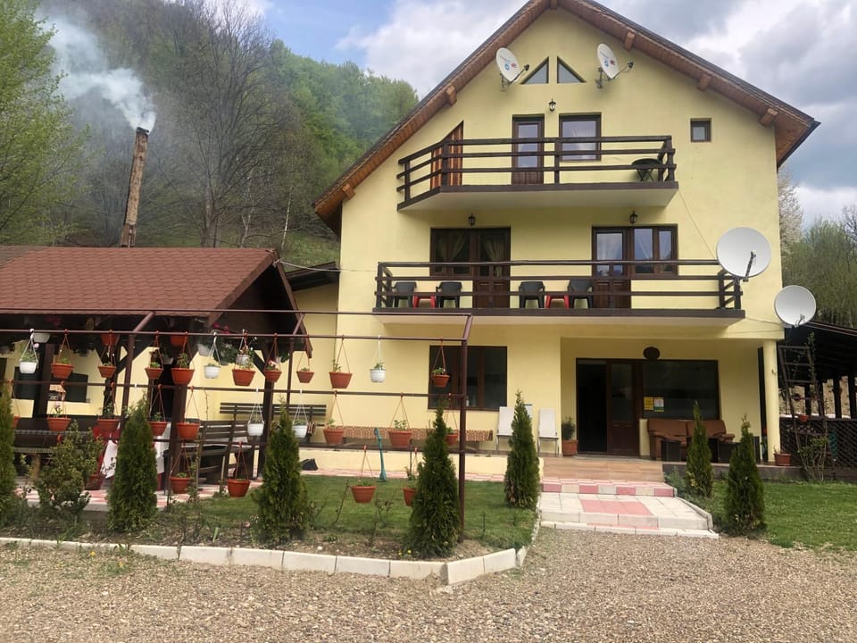Pensiunea Alma Lepsa Villa in Romania