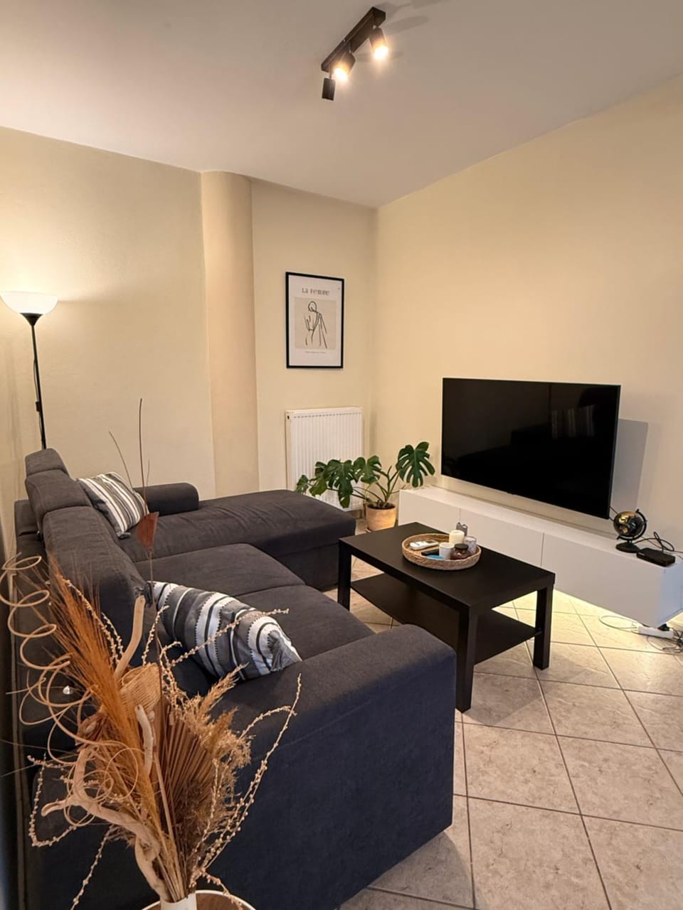 TV and multimedia, Living room