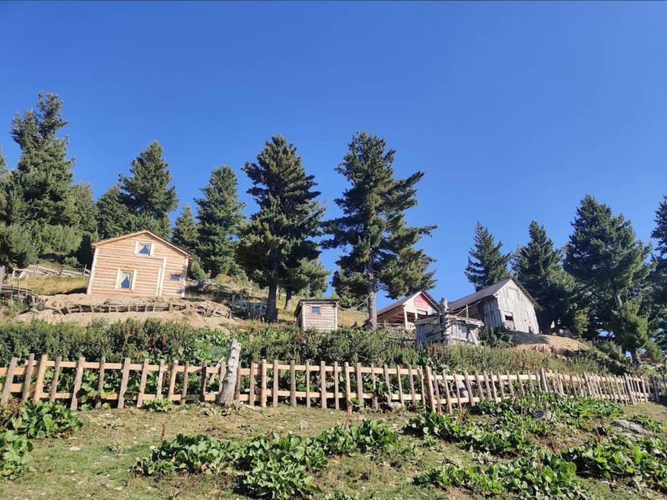 Guest House Kolata view Chalet in Europe