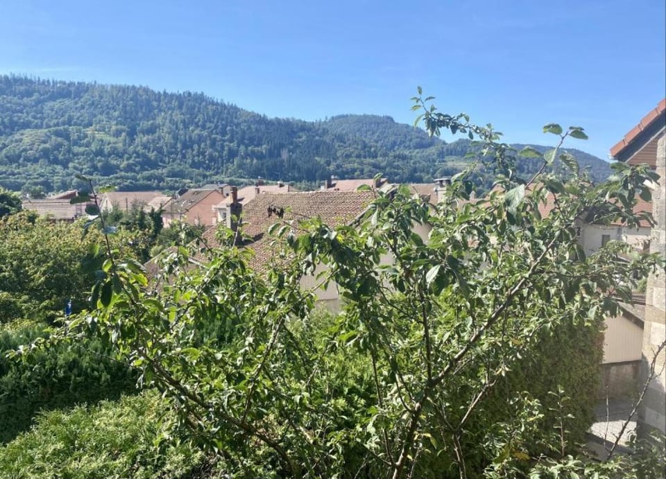 Mountain view