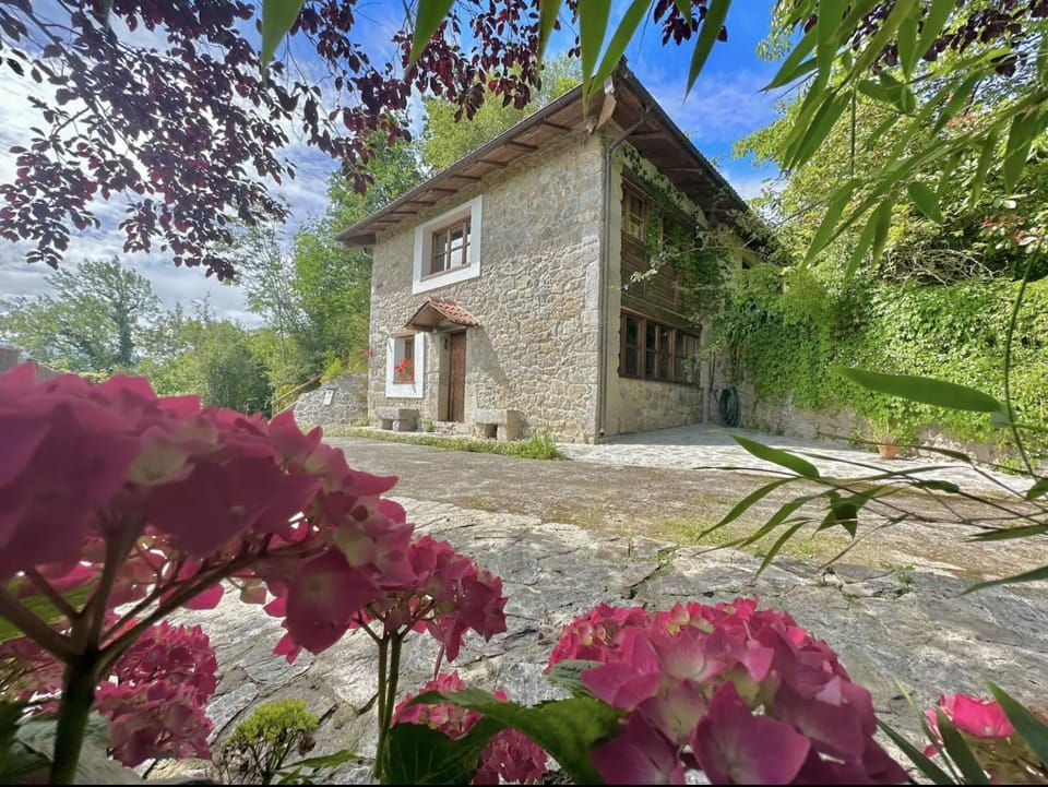 CANGAS DE ONIS RURAL HOUSE WITH VIEWs House in Asturias