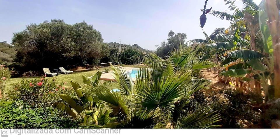 Summer, Garden