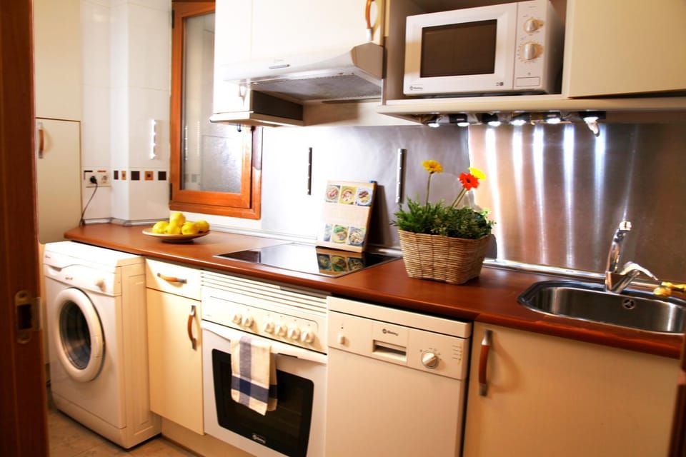 Kitchen or kitchenette, dishwasher, oven, toaster, washing machine