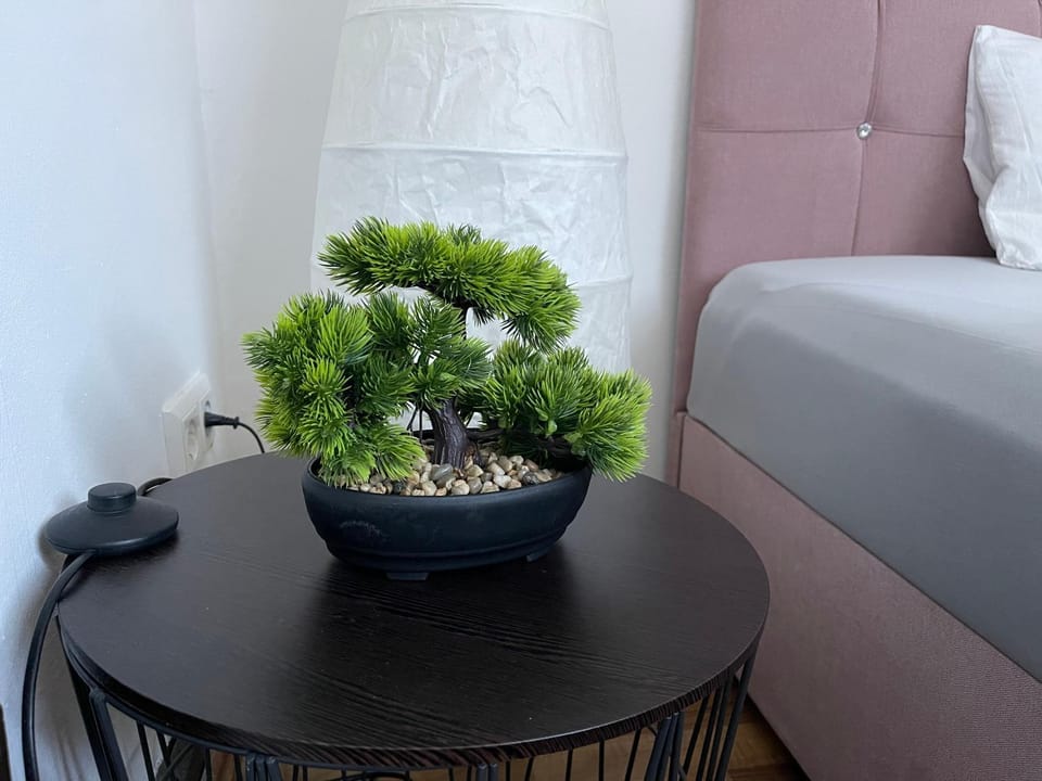Bequemes Einzelzimmer im Herzen von Kassel Vacation rental in Kassel