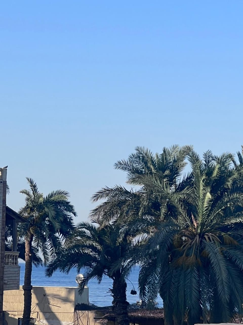 Garden, Sea view