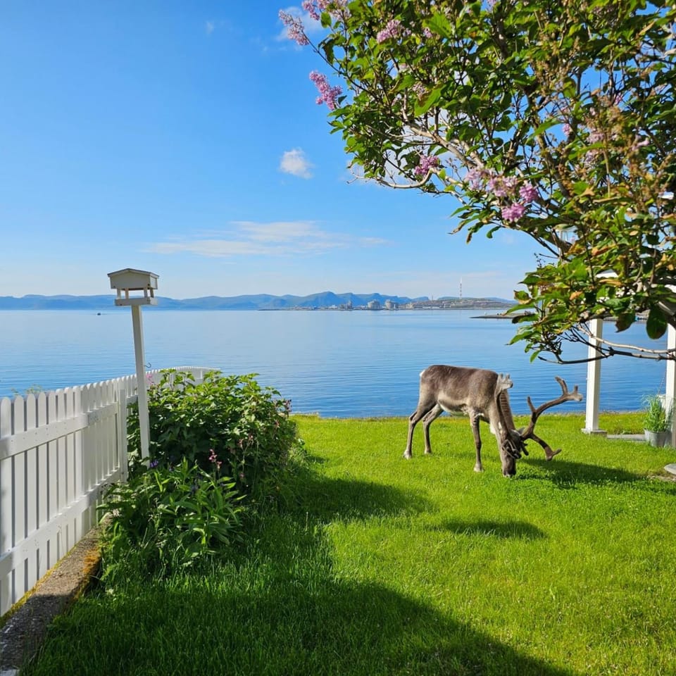 Natural landscape, Sea view