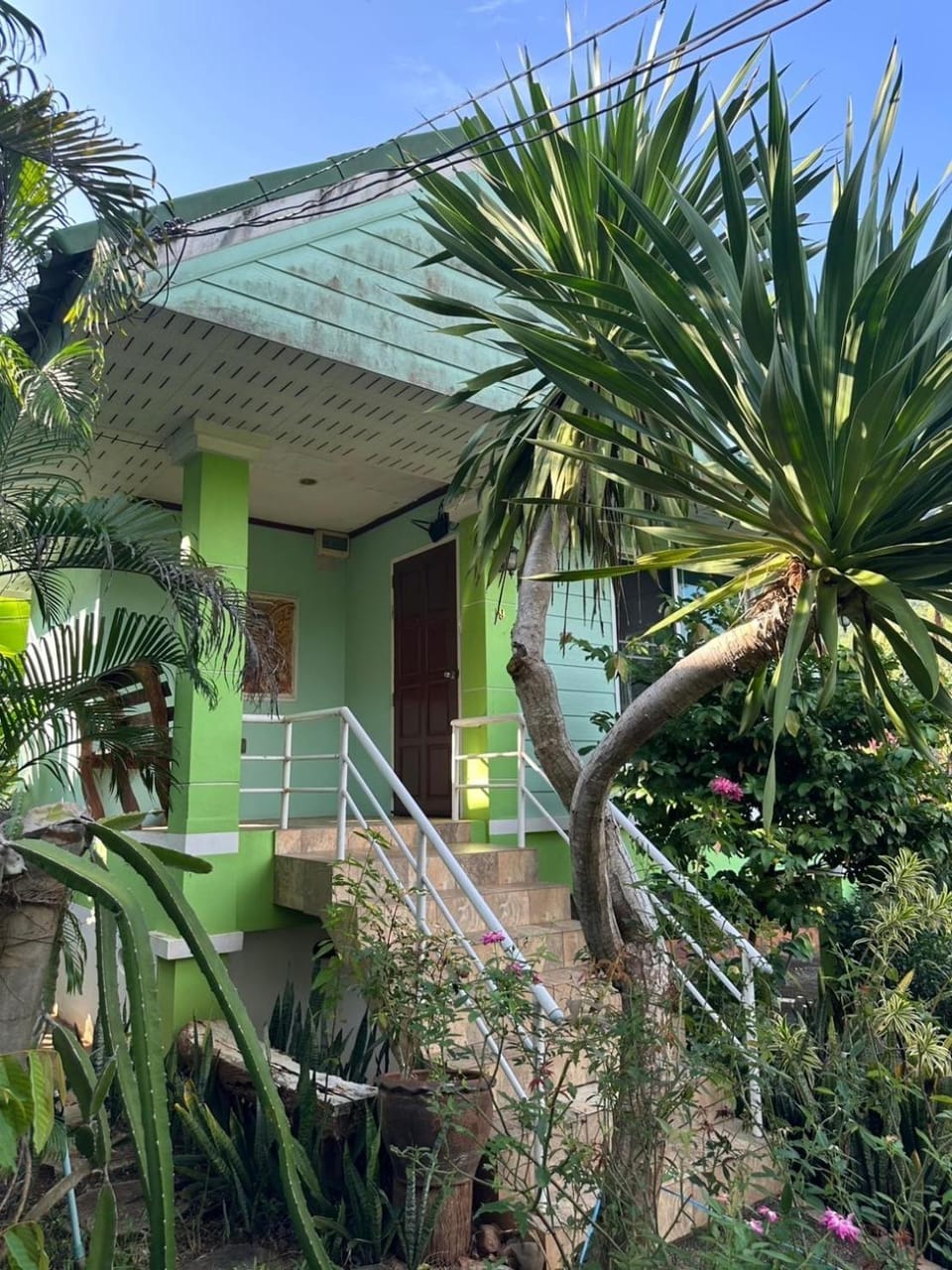 Property building, Day, Garden