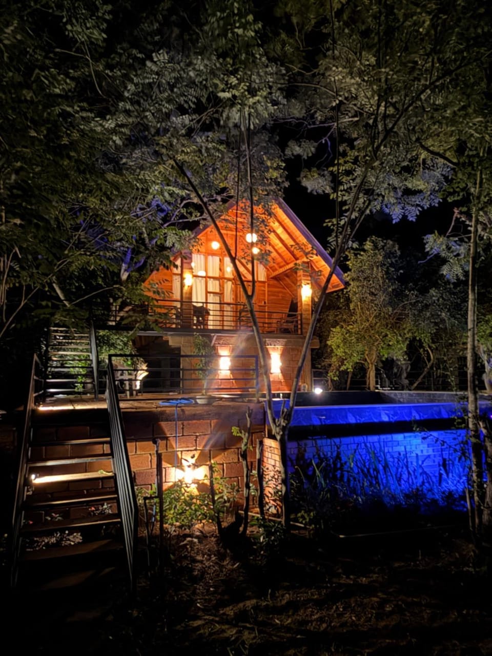 Garden, Garden view, Swimming pool
