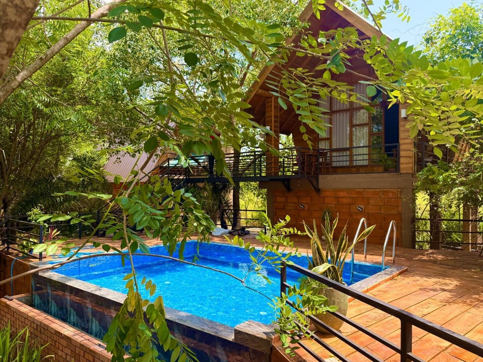 Garden, Pool view, Swimming pool