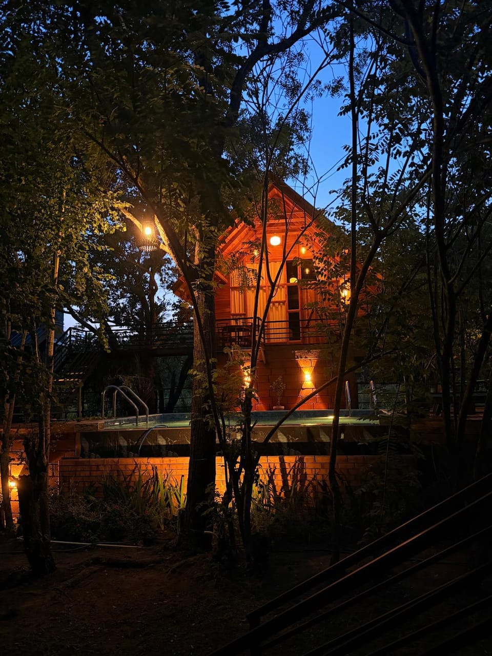 Night, Garden, Garden view