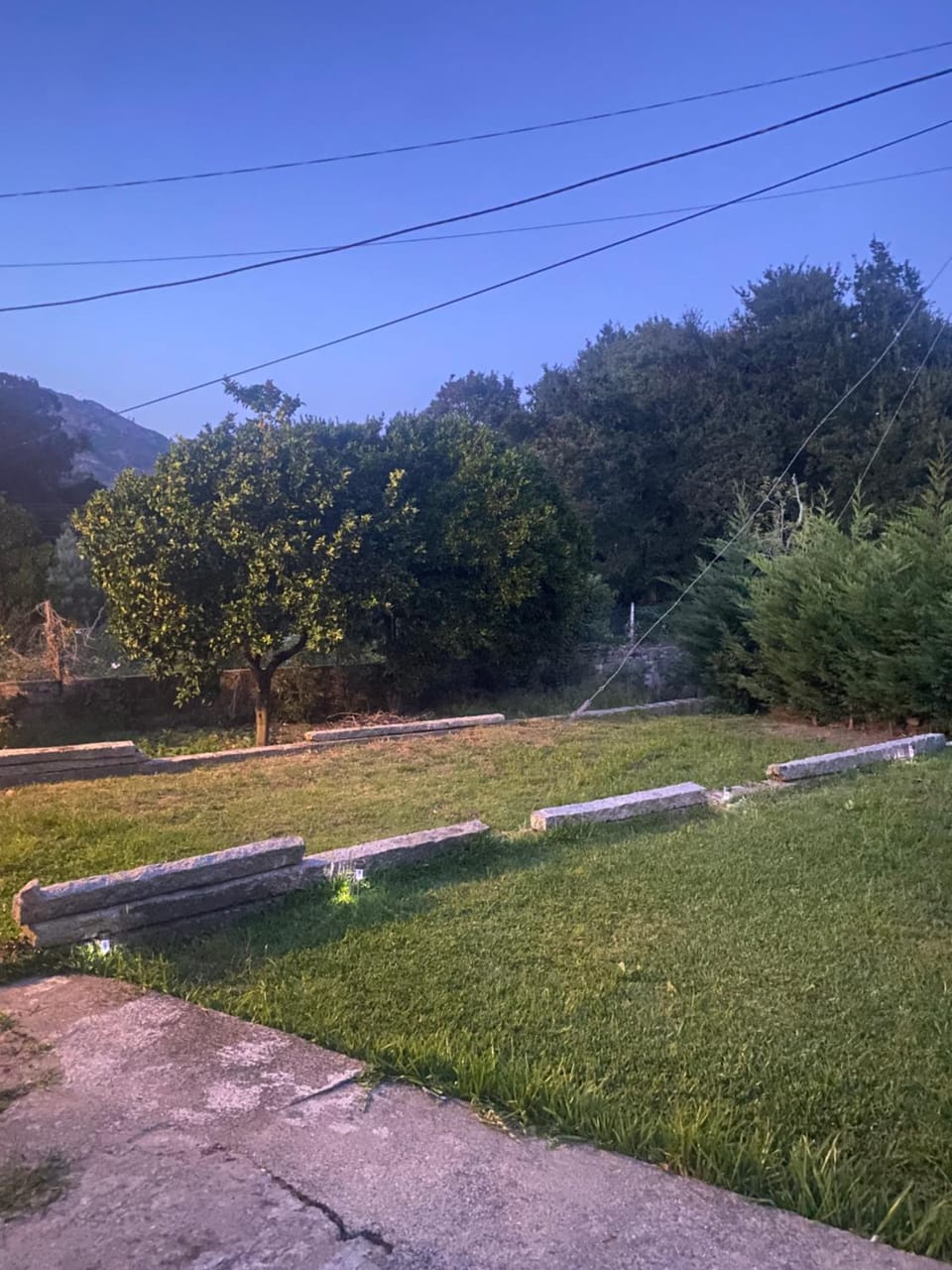 Garden view