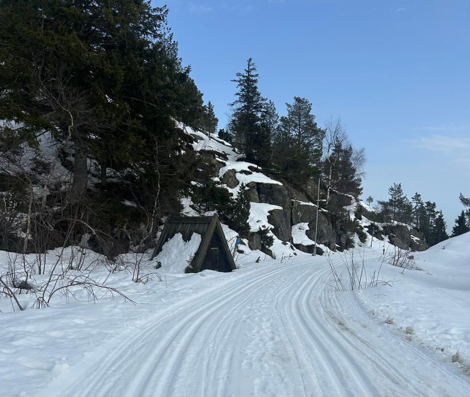 Winter, Skiing, Skiing