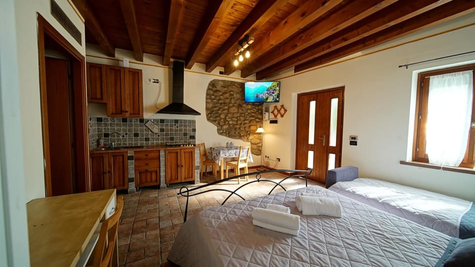 Bed, TV and multimedia, Kitchen or kitchenette, Living room, Photo of the whole room, Seating area, Bedroom