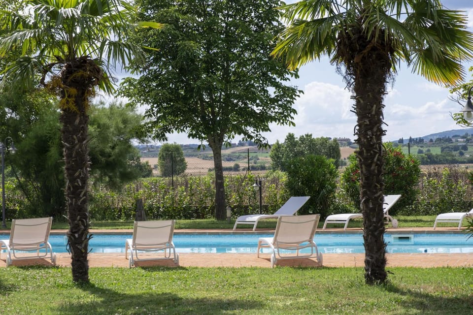 Swimming pool, sunbed