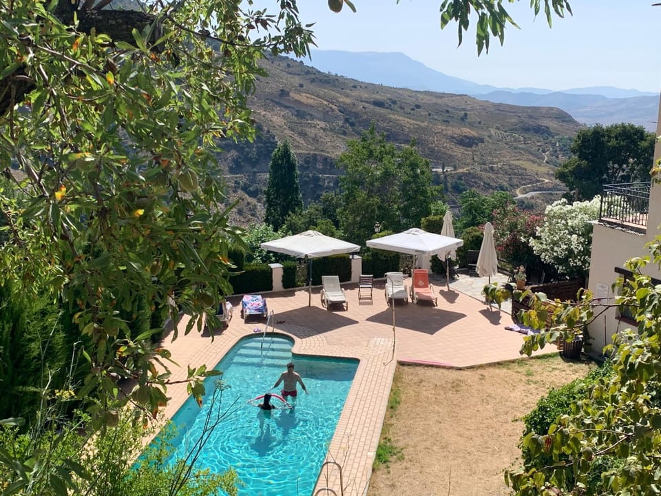 Day, People, Natural landscape, Garden, Mountain view, Swimming pool